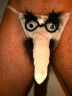thm_cocksock.gif