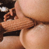 thm_corn.gif
