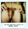 thm_dick12.gif