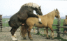 thm_fr-draught.gif