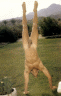 thm_positions_505.gif