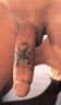 thm_skin_113.gif
