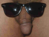 thm_sunglasses.gif