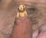 thm_teddy.gif