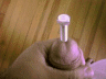 thm_toys_215.gif