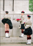 thm_up_kilt.gif