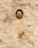 thm_xxxbeach.gif