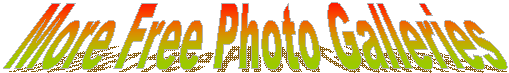 More Free Photo Galleries