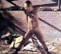 bdsm-1465-18