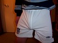scal0365.jpg
