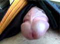 scal0513.jpg