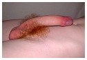 scal0059.jpg