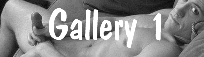 titre_gal1_1.gif (6178 octets)