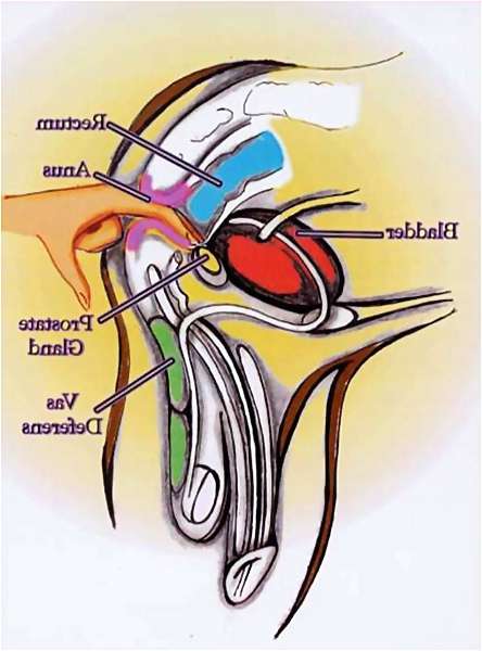 image of anal pleasure male