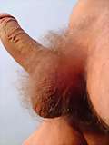 image of hairy muscular gay