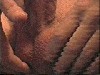 kuoscap032.jpg