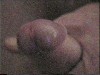 kuoscap031.jpg