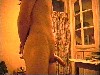 kuoscap016.jpg