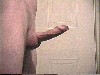 kuoscap009.jpg