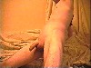 kuoscap028.jpg