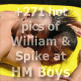 William & Spike at the pool - huge gallery at HMBoys