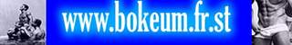 banner_bokeum.jpg (4892 bytes)