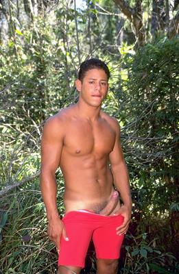 Forestred.jpg