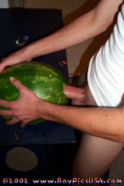 290086.jpg