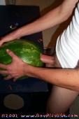 290086.jpg
