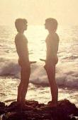 hardons-at-beach.jpg