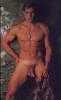 military dick