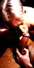 hunk kissing cockhead