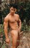 wood cock hunk