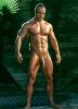 him Tarzan