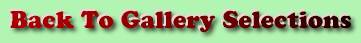 back to gallery list