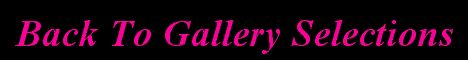 back to gallery list